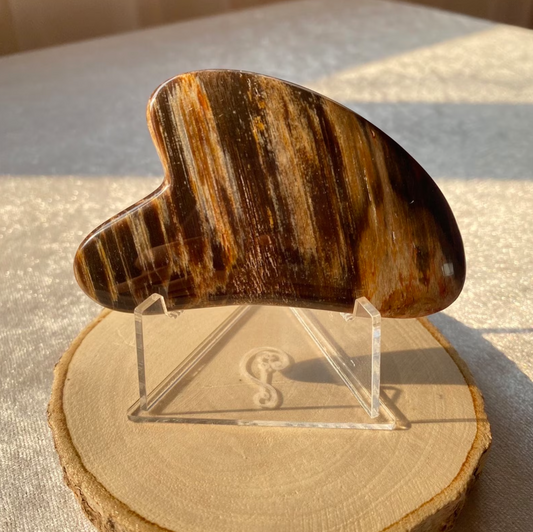 Petrified Wood Heart Gua Sha